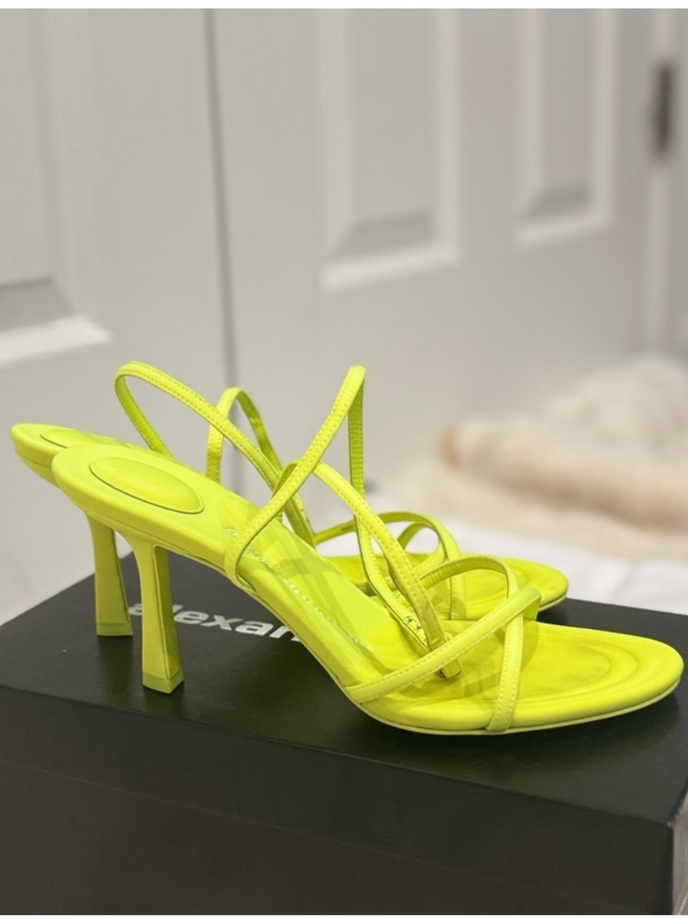 Alexander Wang Heels